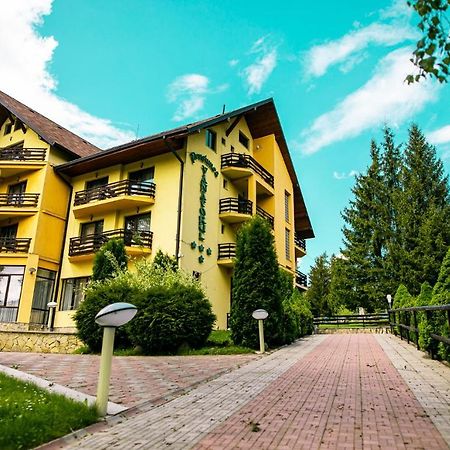 Pensiunea Vanatorul Vatra Dornei Ngoại thất bức ảnh